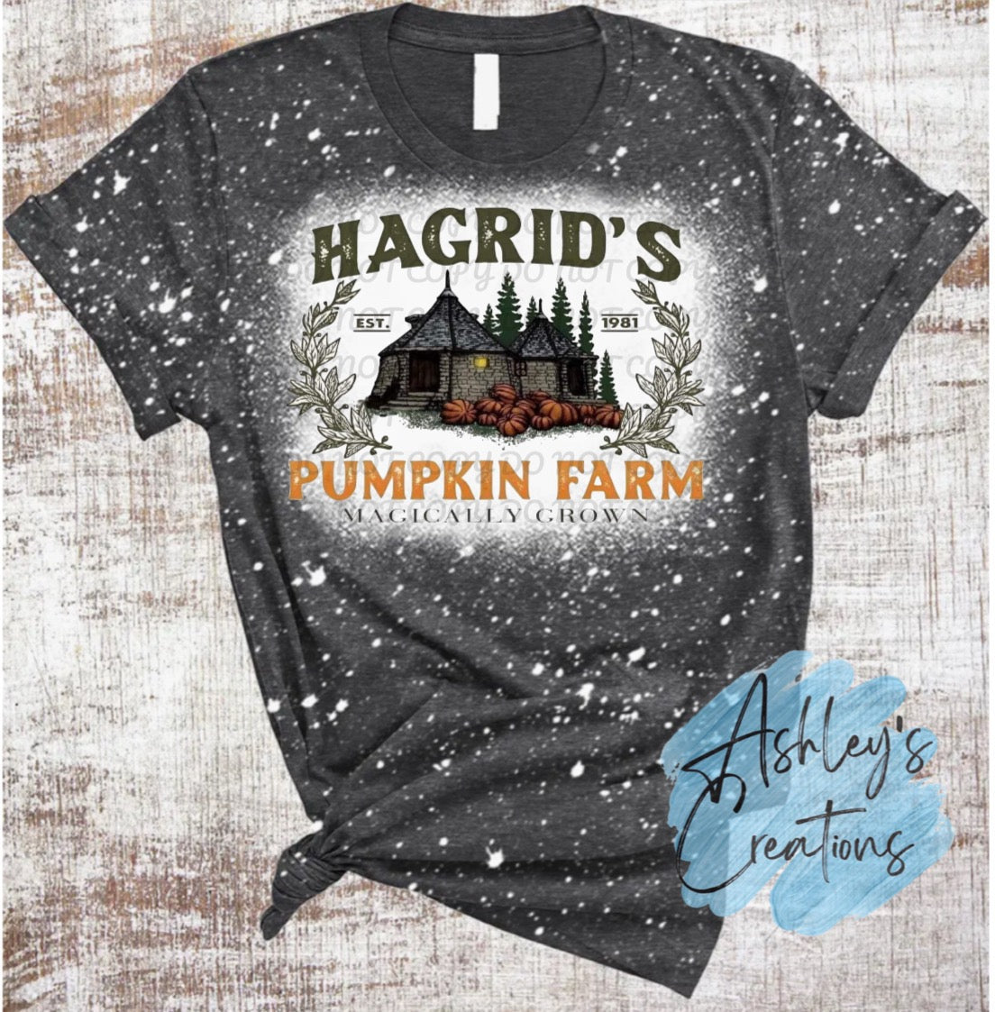 Hagrid’s Pumpkin Farm